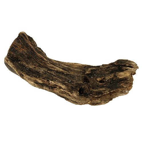 Product Wood root nature 6cm-13cm 500g