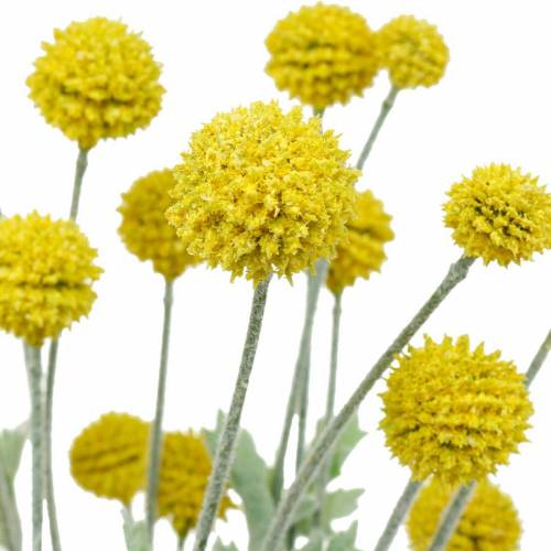 Floristik24 Drumstick Yellow Artificial Craspedia Silk Flowers