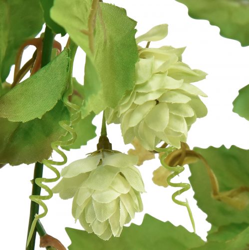 Floristik24 Leaf Garland Hop Garland Green Artificial L180cm