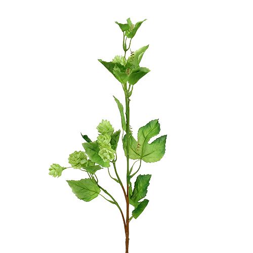 Hop Branch 70cm Green 2 Pcs Artificial Plant