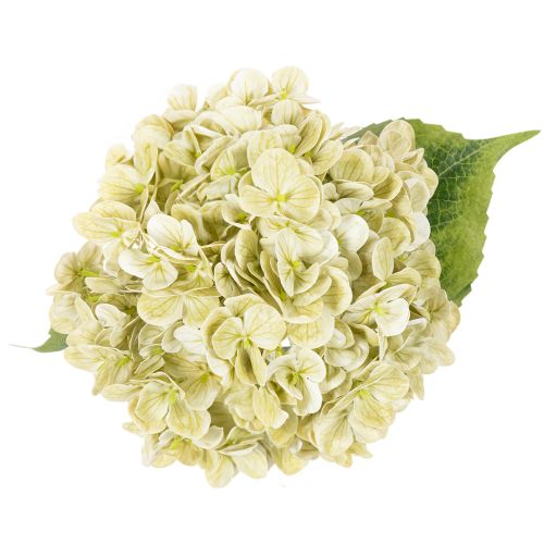 Artificial hydrangea flower with long stem and leaves, 60cm | Floristik24.ie