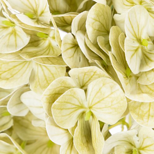 Artificial hydrangea flower with long stem and leaves, 60cm | Floristik24.ie