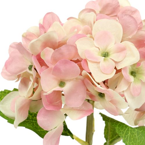 Floristik24 Hydrangea pink, cream 36cm