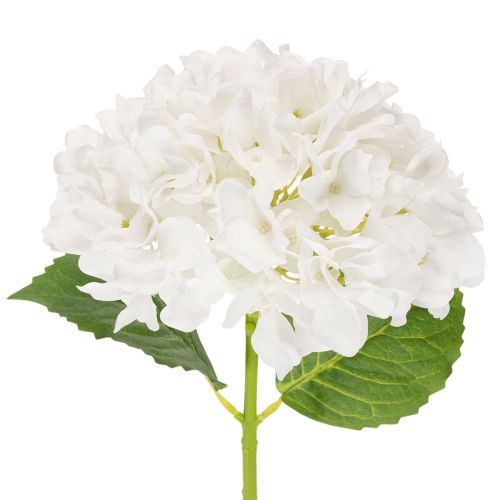 Artificial hydrangea flower with long stem for decoration, 48cm buy online | Floristik24.ie