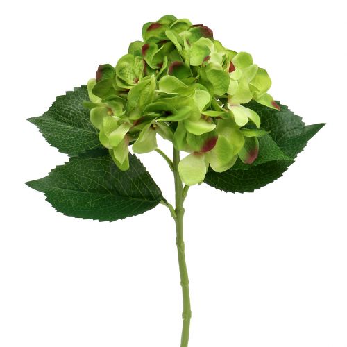 Hydrangea green artificial for decoration L54cm