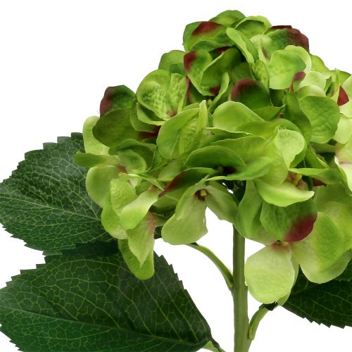 Product Hydrangea green artificial for decoration L54cm