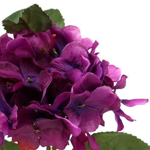 Floristik24 Hydrangea purple 30cm 3pcs