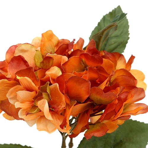 Floristik24 Hydrangea orange 30cm 3pcs