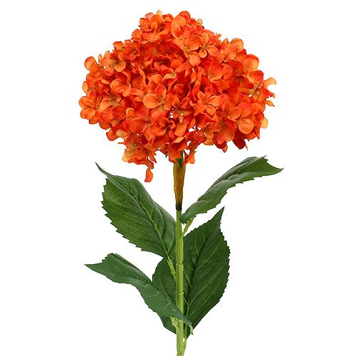Floristik24 Hydrangea orange 80cm 1p