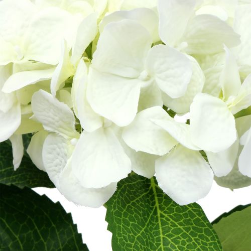 Floristik24 Hydrangea white L54cm 1p