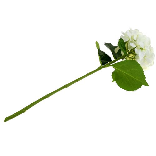 Floristik24 Hydrangea white L54cm 1p