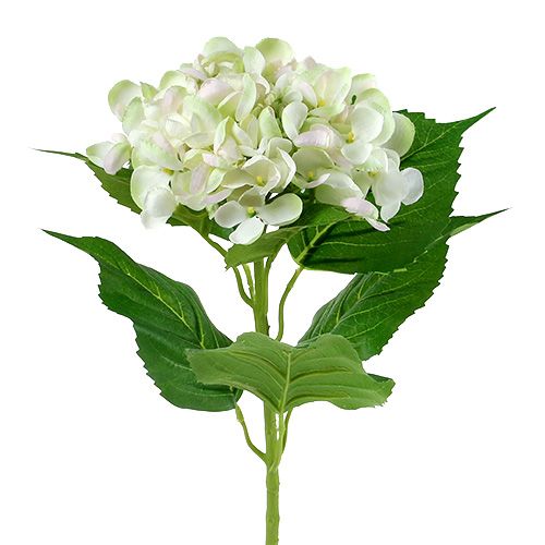 Hydrangea white-green 60cm | Floristik24.ie