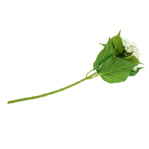 Hydrangea white-green 60cm | Floristik24.ie