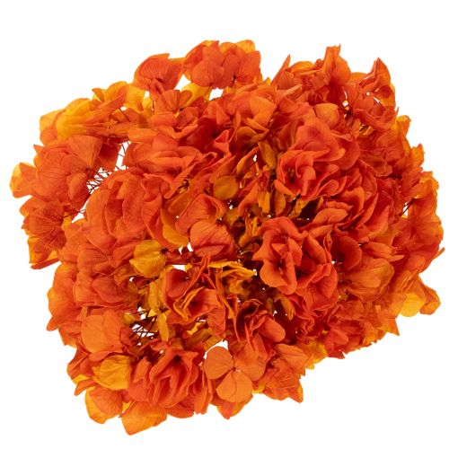 Hydrangea, preserved and dyed, large bloom with long stem, 60cm | Floristik24.ie