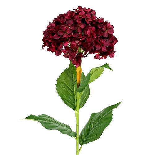 Floristik24 Hydrangea artificial dark red 80cm 1 pc
