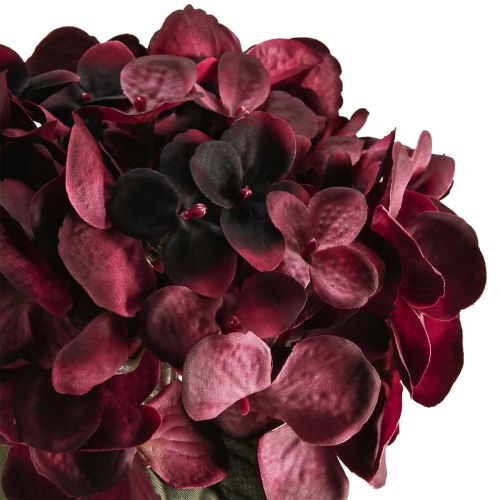 Floristik24 Hydrangea artificial flowers Bordeaux 52cm