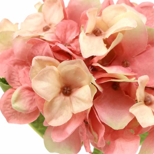 Floristik24 Hydrangea beige/ pink 35cm