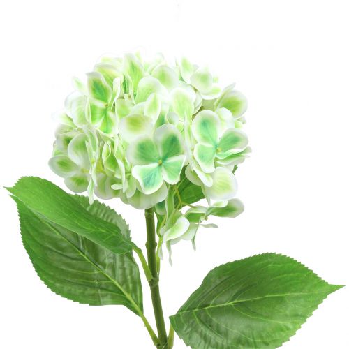 Floristik24 Hydrangea artificial green, white 68cm