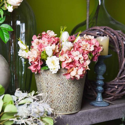 Floristik24 Hydrangea beige/ pink 35cm