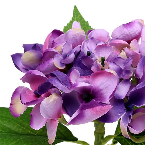 Floristik24 Hydrangea purple 33cm 1p