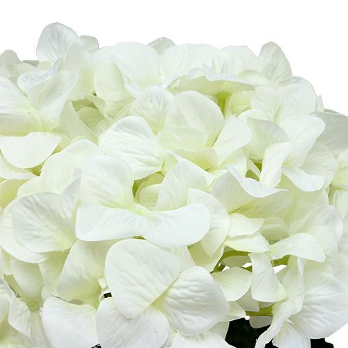 Floristik24 Hydrangea Maxi White Ø30cm L113cm