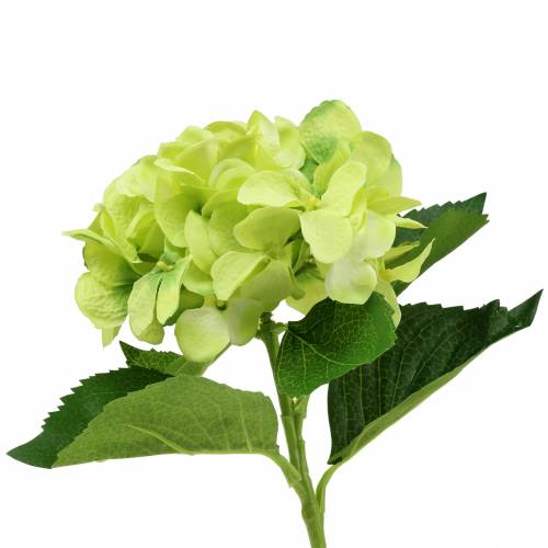 Hydrangea green 54cm