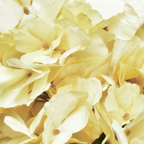 Floristik24 Hydrangea bouquet artificial flowers yellow 5 flowers 48cm