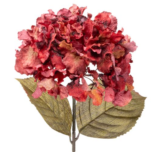 Artificial hydrangea flowering branch, large bloom, 74cm buy online | Floristik24.ie