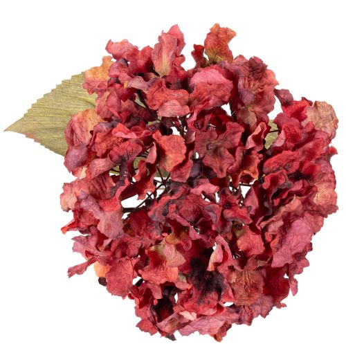 Artificial hydrangea flowering branch, large bloom, 74cm | Floristik24.ie