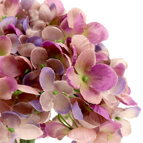 Floristik24 Hydrangea bunch L25cm purple