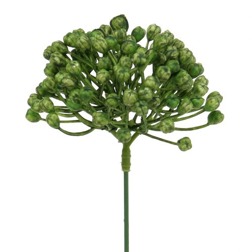 Hydrangea bud pick 22cm green 12 pcs