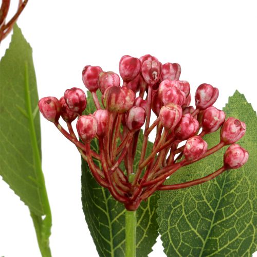 Floristik24 Hydrangea bud branch 55cm pink 6pcs