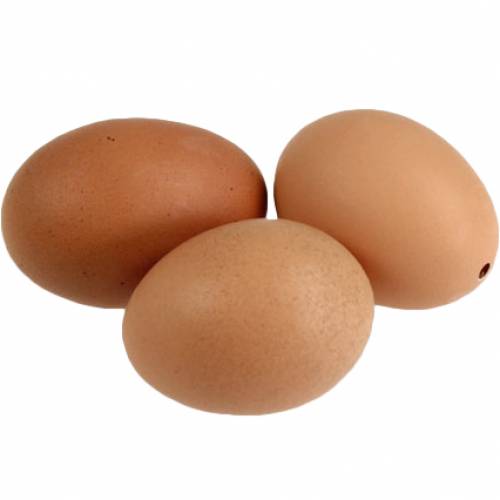 Chicken Eggs Brown 10pcs