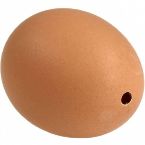 Product Chicken Eggs Brown 10 pcs