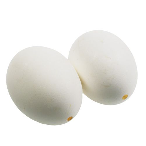 Chicken eggs white 10pcs