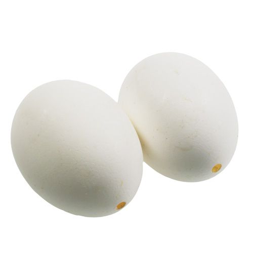 Floristik24 Chicken Eggs White 10 pcs