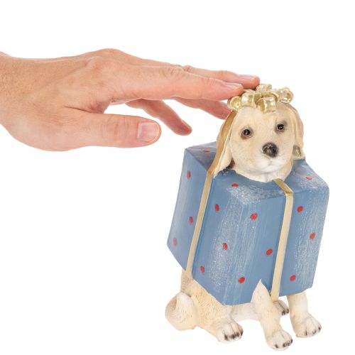 Decorative figurine of a sitting puppy in a gift box, 20cm | Floristik24.ie