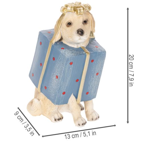 Decorative figurine of a sitting puppy in a gift box, 20cm | Floristik24.ie