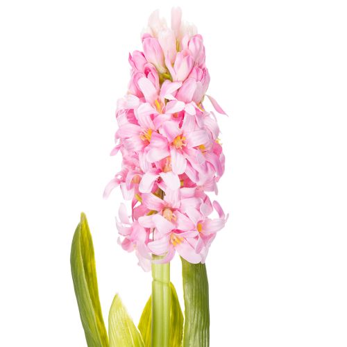 Product Hyacinth Real-Touch Pink 40cm