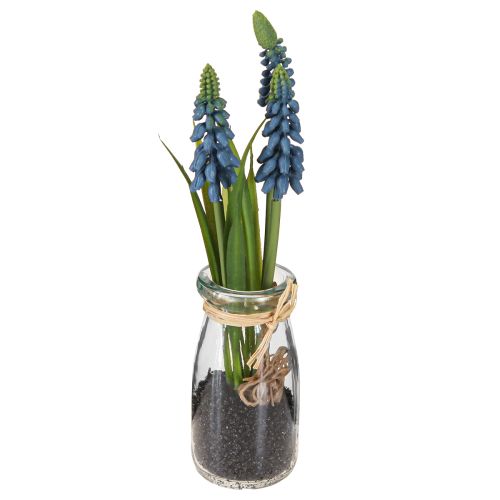 Hyacinth artificial Pearl hyacinth blue in glass H22cm 2pcs