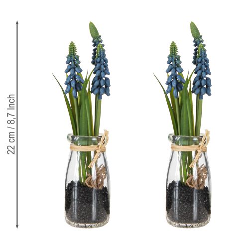 Product Hyacinth artificial Pearl hyacinth blue in glass H22cm 2pcs