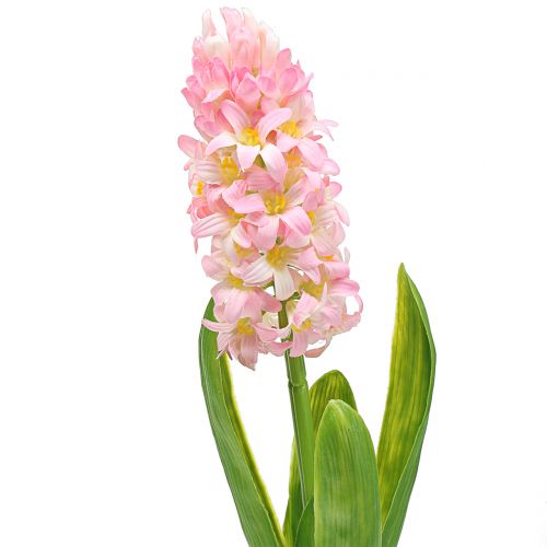 Hyacinth Real-Touch Pink 40cm
