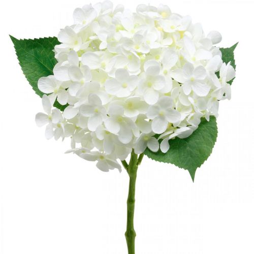 Floristik24.ie Hydrangea artificial white 53cm67278
