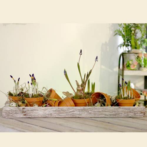 Product Flowerpot Clay Ø3.5cm H3cm 10pcs