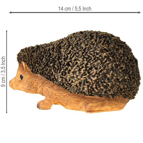 Floristik24 Hedgehog Animal figurine Hand-painted Brown 14×9.5×9cm
