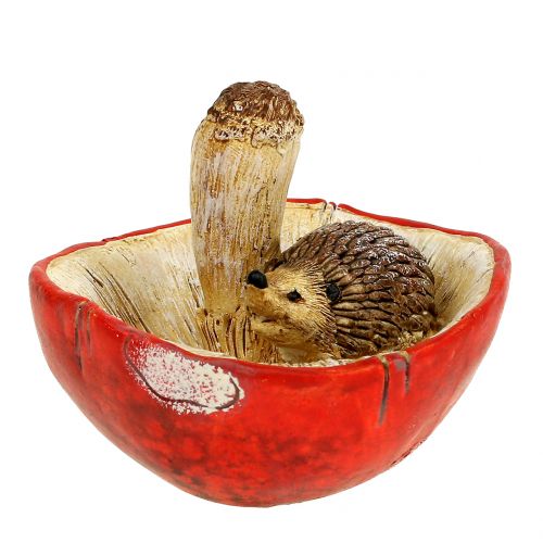 Floristik24 Decorative figure hedgehog on mushroom red-white H6cm