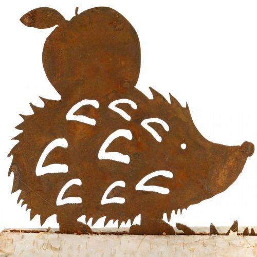 Floristik24 Rust hedgehog deco birch bark metal autumn decoration 20×4cm H10.5cm