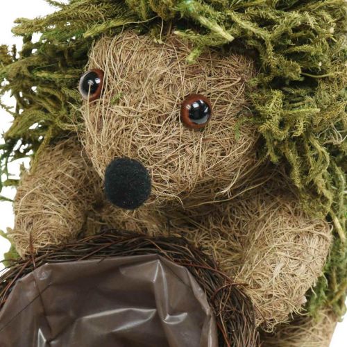 Product Hedgehog with basket green, autumn decoration for planting, decorative plant basket H24cm Ø9.5cm