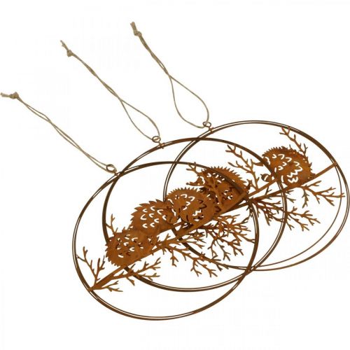 Product Metal pendant, hedgehog on branch, autumn decoration, decorative ring rust Ø15.5cm 3 pcs