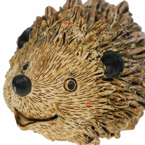 Floristik24 Decorative figure hedgehog nature 6.5cm